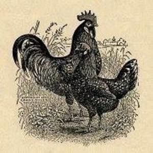 Meet your Posher, Tere